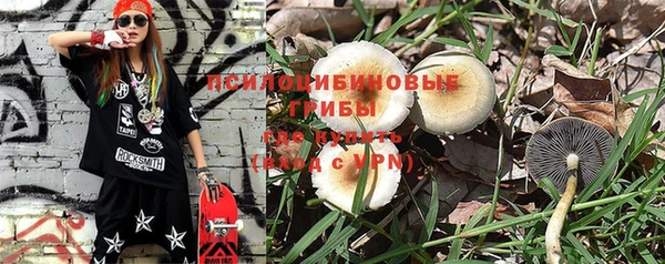 дурь Абдулино