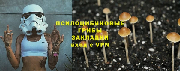 амф Абаза