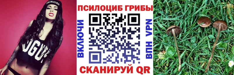 купить  цена  Новокузнецк  Галлюциногенные грибы ЛСД 