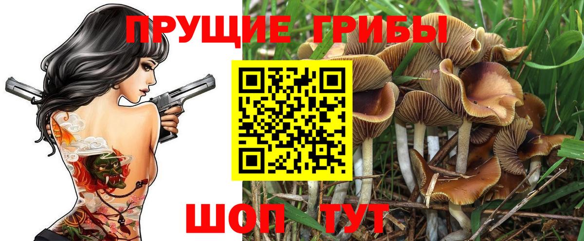 Новокузнецк  дарнет шоп  Вход с VPN  Галлюциногенные грибы MAGIC MUSHROOMS 
