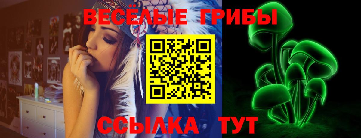 Галлюциногенные грибы Cubensis Новокузнецк
