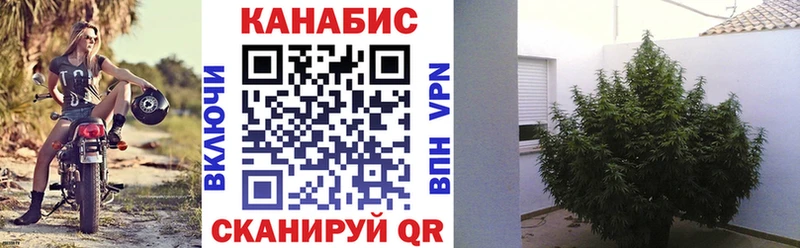 купить наркотики сайты  Новокузнецк  Конопля план 